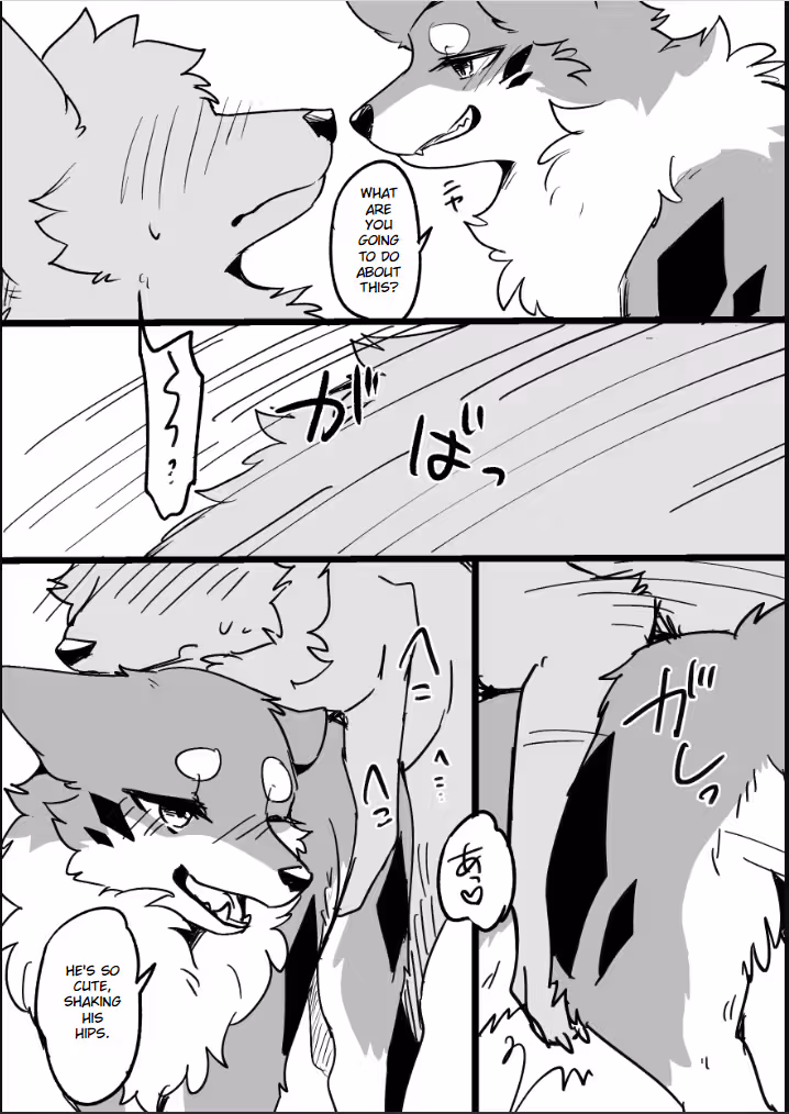 /galleries/2575765/5.avif
