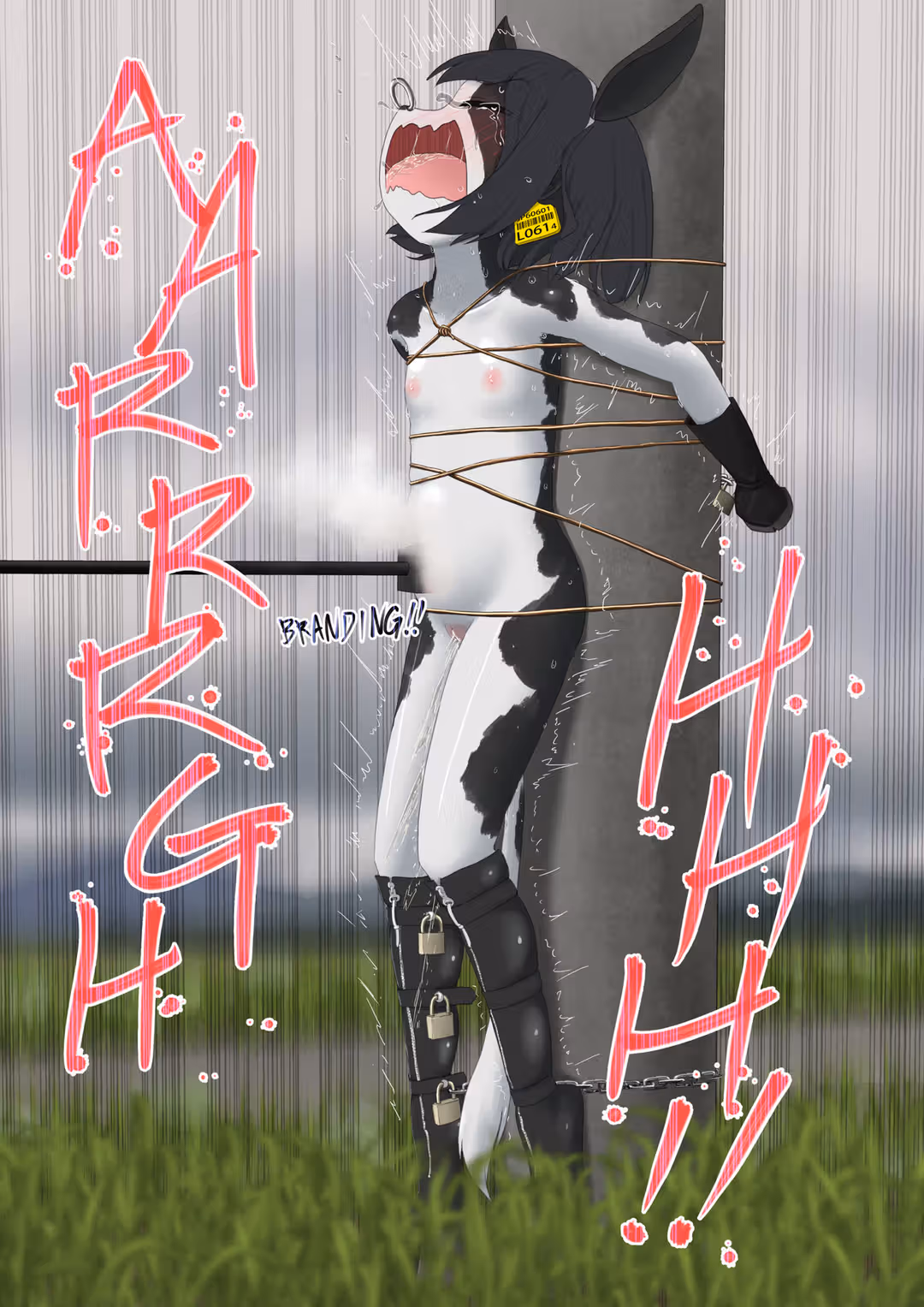 /galleries/2771924/134.avif