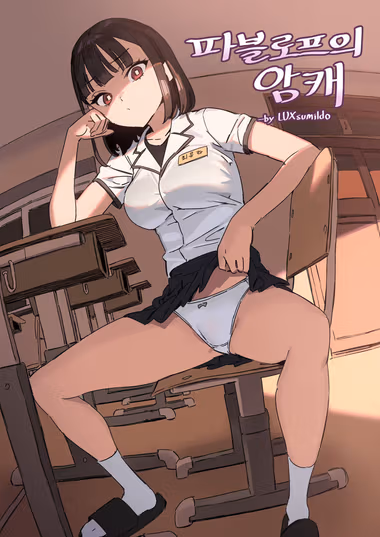 /galleries/2970116/cover.avif
