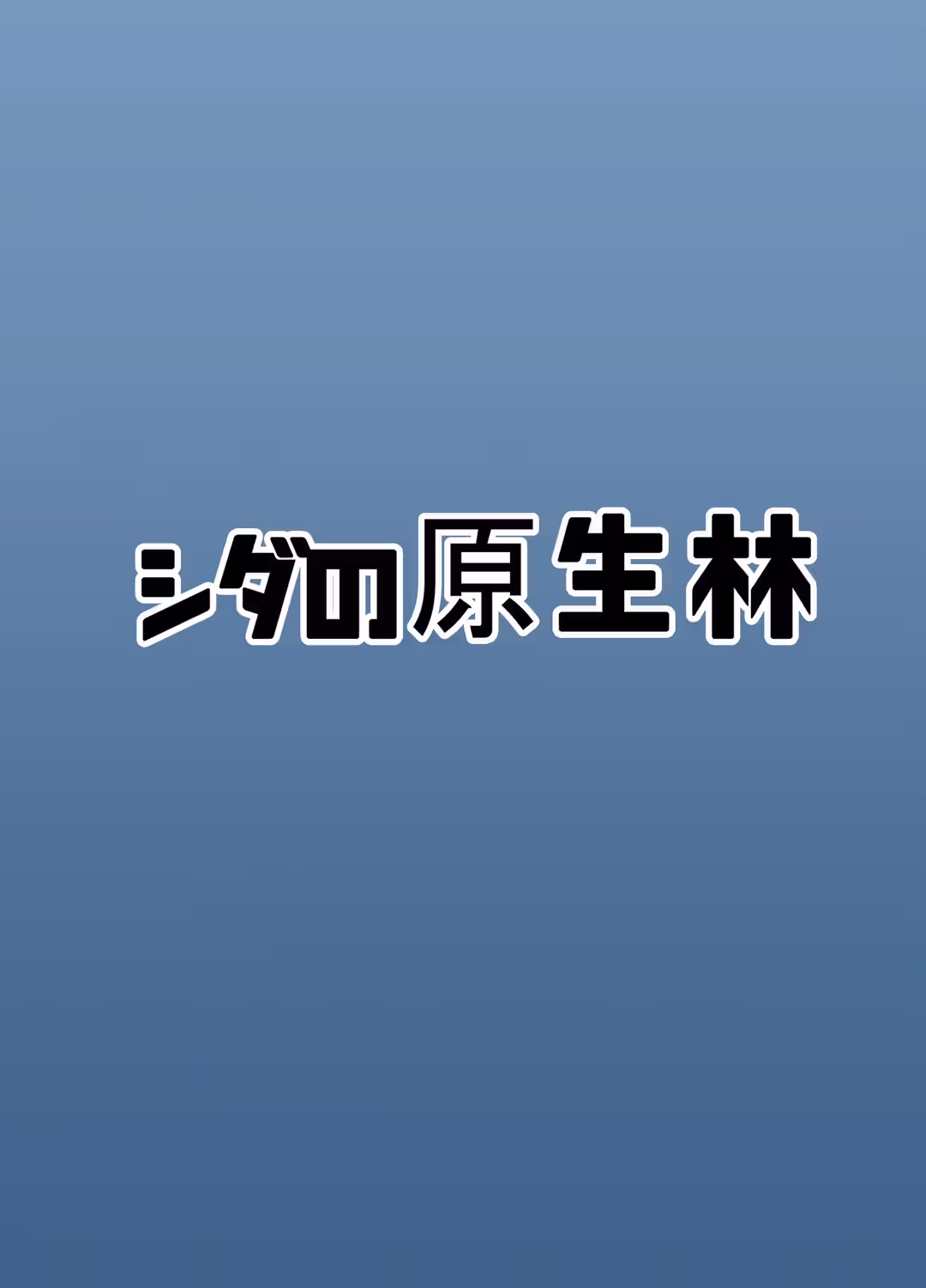 /galleries/2999897/26.avif