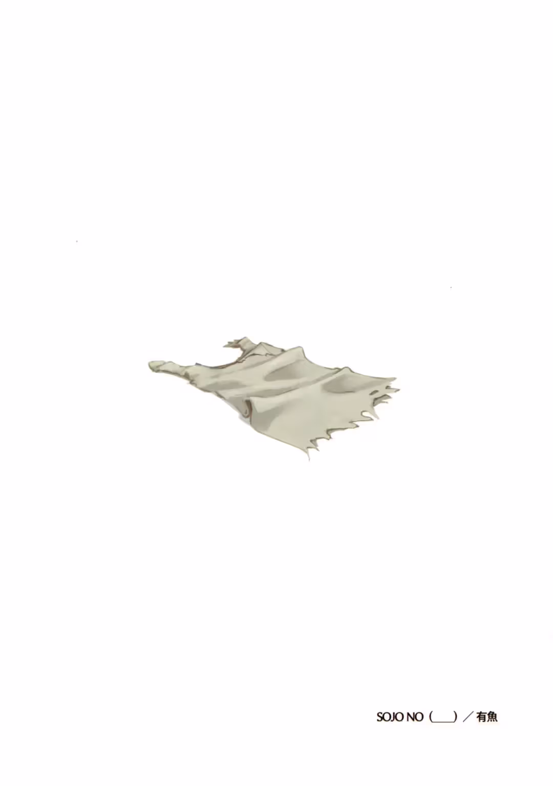 /galleries/3331927/50.avif